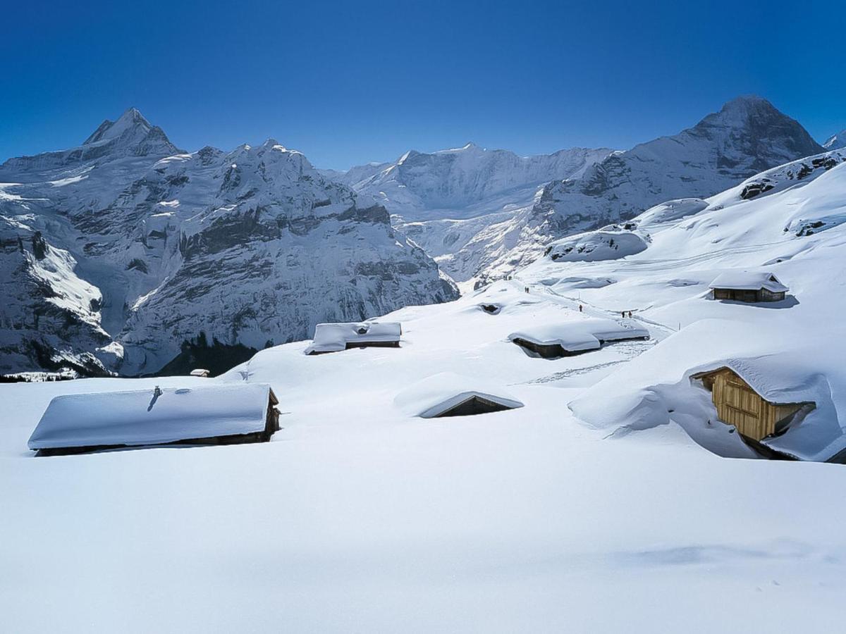 Apartment Chalet Marie Rosa-1 By Interhome Grindelwald Zewnętrze zdjęcie